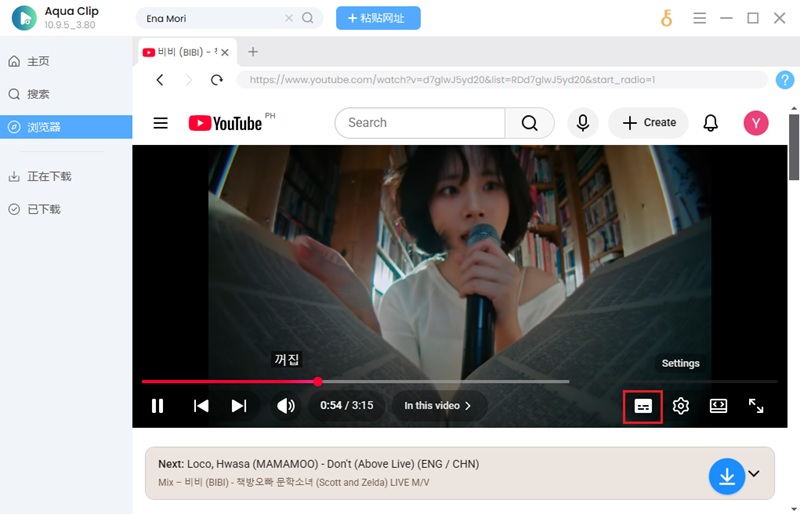 查看 YouTube 视频的 CC 字幕