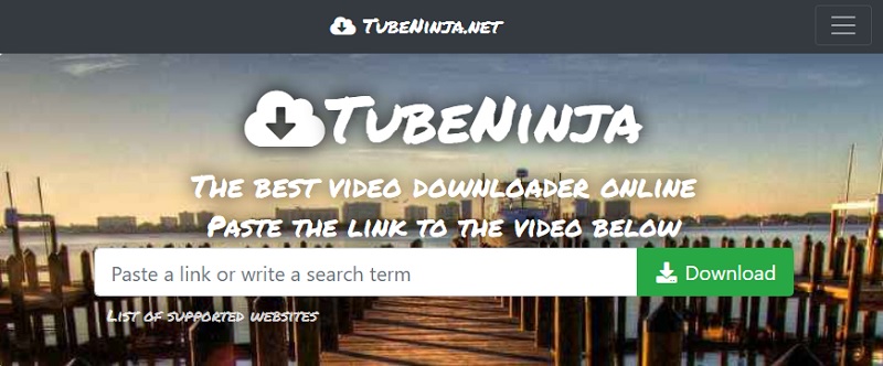 tubeninja as 9xbuddy alternative