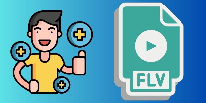 flash video format