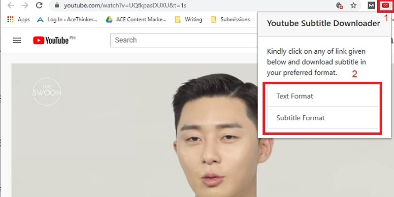 step2 yt-subtitle downloader format