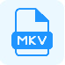 转换 MKV