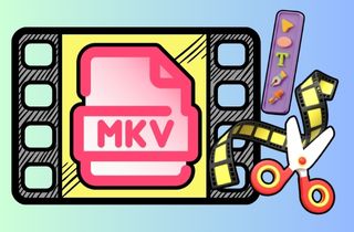 MKV 编辑器推荐