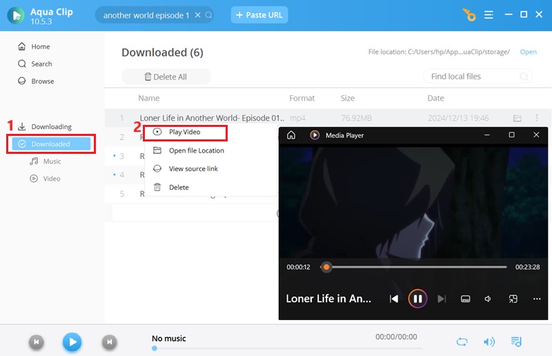 play downloaded anime