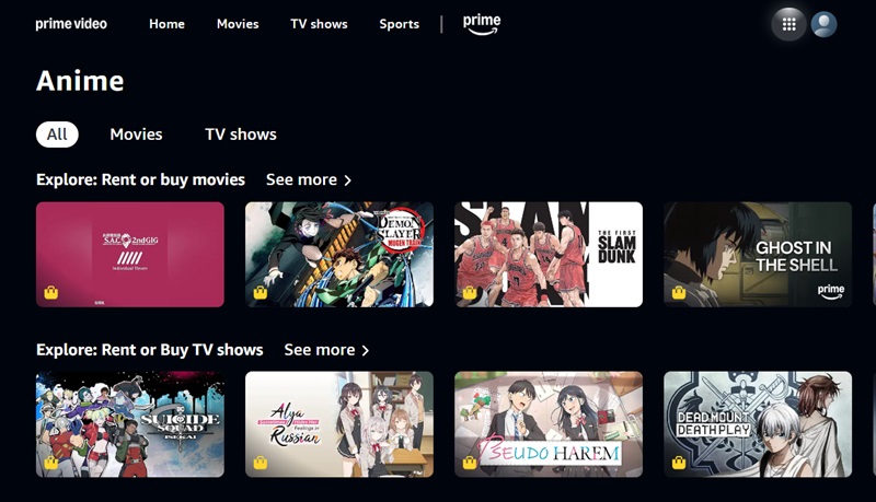prime video anime section