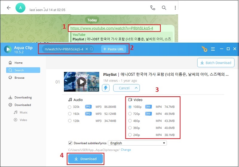 download private telegram video