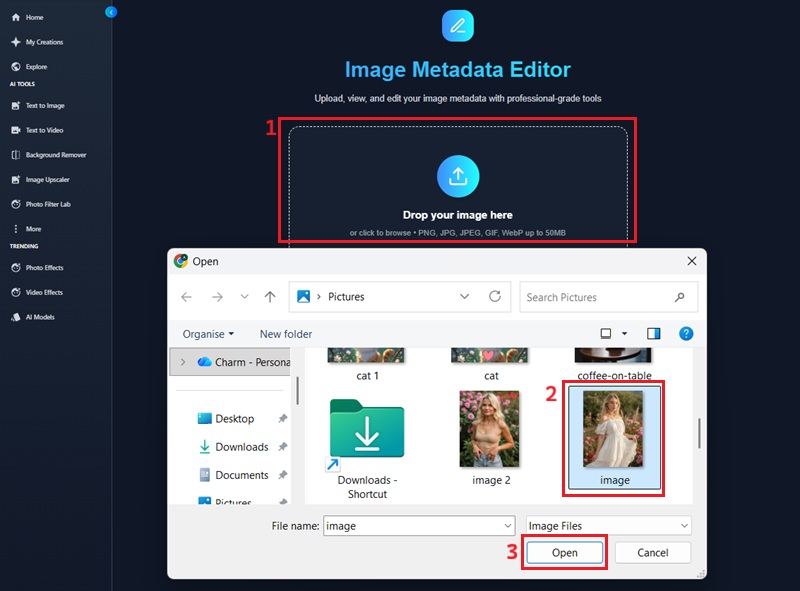 metadata editor upload image