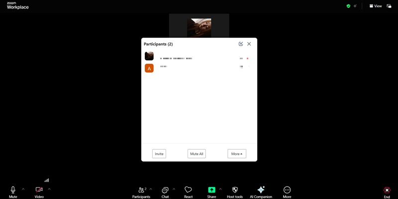 进入 Zoom 实时会议