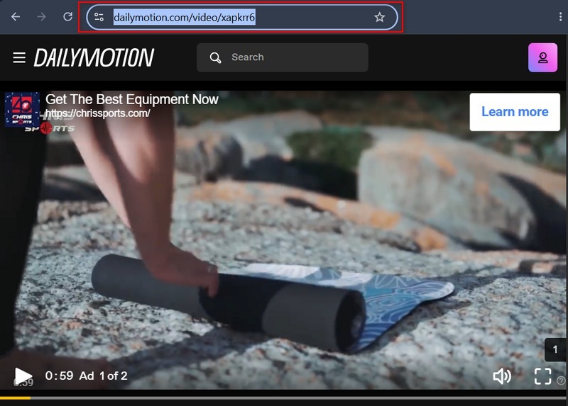 复制 Dailymotion 链接